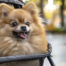 호평동물병원 이미지