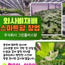 주식회사 플러스팜 이미지