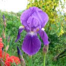 우두산민박 이미지