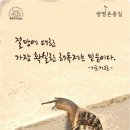 안양천 산책로 아시아경제