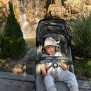제5호 근린공원 | 송파 오금공원 무장애숲길 유모차 산책 후기