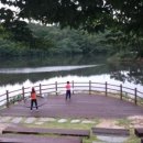 녹수초등학교 이미지