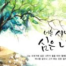 시냇가에심은나무