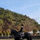 다솔승마장