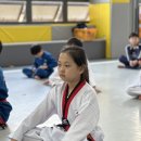 마루한튼튼2태권도장 이미지