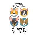 나라애견 송탄점 | 진돗개, 그 견종이 알고싶다!/평택애견유치원 왓썹독