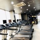 바디스트 이미지