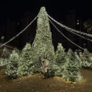 상업용 44 | 크리스마스데이트로 가기좋은 제이닷트리x스누피팝업 예약방법과 포토존 방문후기