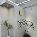 은빛헤어샵 | 학동역미용실 강남구청역미용실 피우 은빛 원장님 나노힐 프리미엄 모발복구클리닉 B코스 솔직 후기...