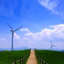 삼양목장 이미지