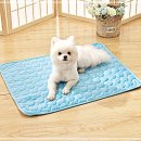 시원애견 이미지