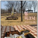 그늘막75 | [이천 나들이] 이천 장호원 애완동물, 아이들과 피크닉 하기 좋은 곳 "진암공원" | 주차정보