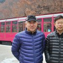 철암농산물 이미지