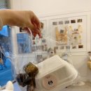 까까베이커리 이미지