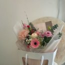 다육사랑화원 | 화월, 목포 꽃집