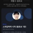 인디스픽 | 스픽 사용후기