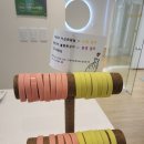 (주)나누리투어 | [부평 헬스장/내돈내산] 저 헬스 PT 시작했어요! 벨라핏 헬스장, 필라테스 시설, PT 후기