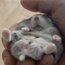 독학 토익 LC 실력 높이기 (2) | [자격증] 토익 TOEIC 900 독학 후기 (공부법 및 팁)