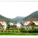 미국마을 이미지