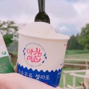 아침에 신선목장 이미지