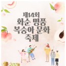 2024년 화순 버스킹 이미지
