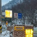 카페나루터로 이미지