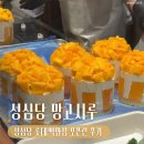 정각 | [대전] 성심당 망고시루 오픈런 후기 (+ 망고 빵)