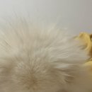 뚱땅뚱땅 이미지