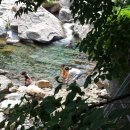 (주)다가본