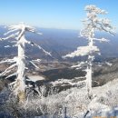 환상적인 눈 꽃 이미지와 눈내리는 일러스트 눈 이미지 이미지