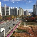 트리니티 복싱짐 이미지