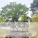 아이랑 여행 부안 누에타운 볼거리 놀이터 정보