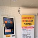 일상의 쉼표 | 동쪽 가볼 만한 곳, 낮에는 시원한 숲으로! 피톤치드 가득한 '비자림' 숲길 산책 후기 (입장료, 주차 정보)