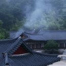 김천부항댐산내들오토캠핑장 이미지