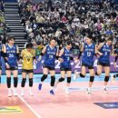 춘천서 프로배구 ‘별들의 잔치’ 열린다 이미지