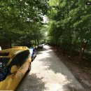 동실유치원 이미지