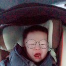 아띠목장 이미지