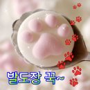 🌸🌸따뜻하고 (마음이) 정 많은 예천방 10월 2일~3일 주말 출부입니다. 💖 훈이맘 방장님! 수고하셨어요~🐤🐦🐤 이미지