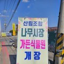 봄맞이 봄꽃 종류 가득한 포천 가든 식물원