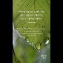 오늘의 &#39;신앙 명언&#39;(32강) 디트리히 본회퍼(Dietrich Bonhoeffer) 이미지