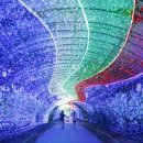 오감만족 이미지