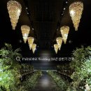 금호타이어 서대구IC점 | w7. 🕊️ 대구 파라다이스웨딩 스텔라홀 계약 후기 26년 상반기 예식 견적 식대 할인 계약 후기 꿀팁 공유