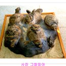 사랑방기원 Daum카페