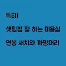 새치와까망머리 이미지