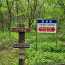 자뭇골공원 네이버블로그
