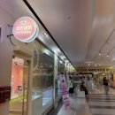 부산 강아지분양 브라비펫 2호점 | 부산강아지분양, 안전하게 데리고 올 수 있는 곳 : 브라비펫