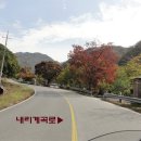 내리계곡로 이미지