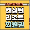돈사미 이미지
