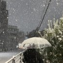 서울레코드 | [잠실/송리단길] 연말 분위기 가득한 와인바 ’코르크 서울 레코드바‘ 추천 후기