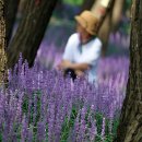 장항아구탕 이미지